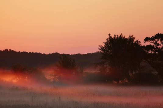 Nebel